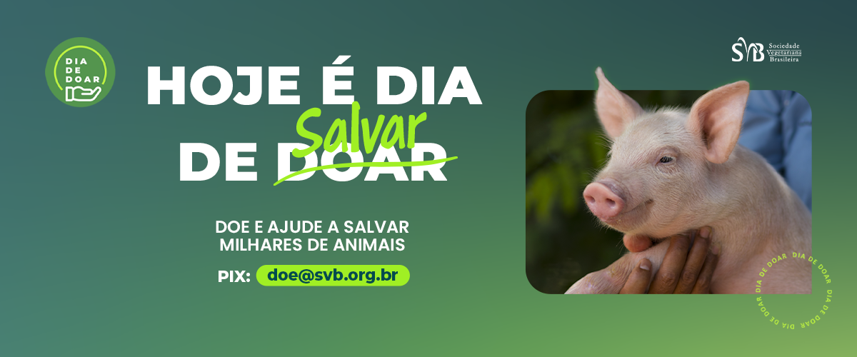 SVB_Dia-de-doar copiar